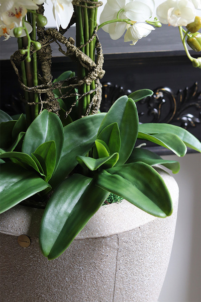 Beigenate 2, sztuczny storczyk w ceramicznej donicy