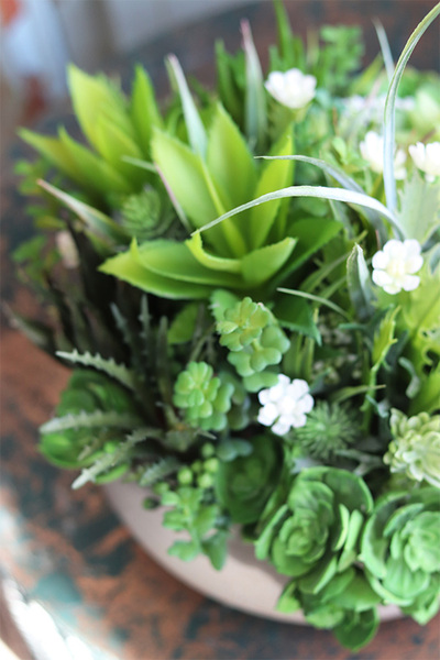 kompozycja z sukulentami w betonowej donicy, Ydello, wym.33x28cm