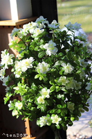 Azalia, sztuczna roślina w doniczce