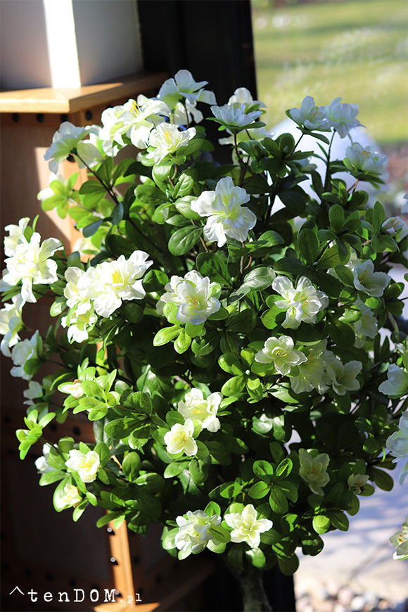 Azalia, sztuczna roślina w doniczce