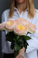 Herbaciane Róże Deluxe, bukiet gumowych róż