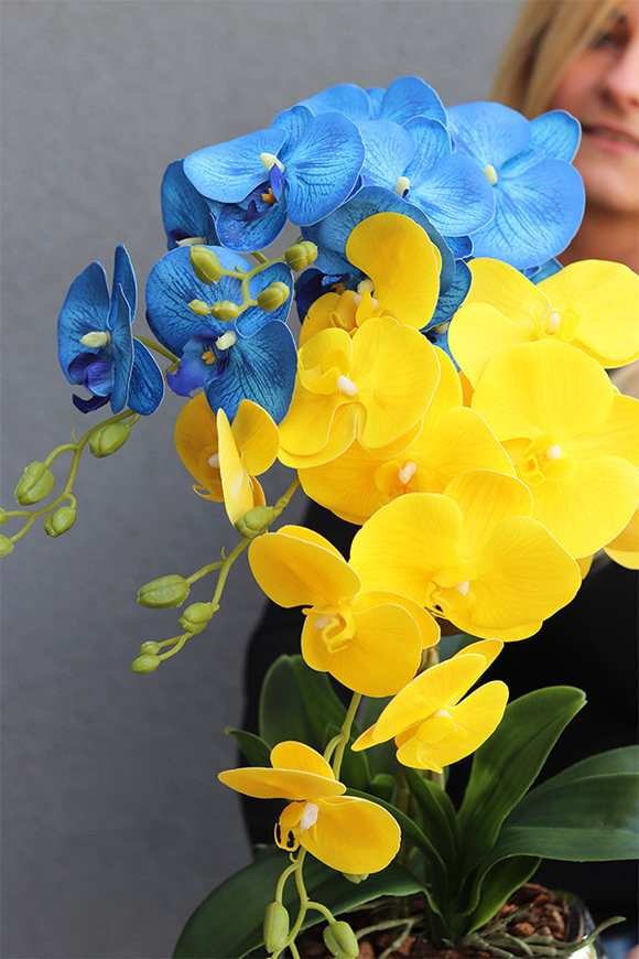 Ukraina, gumowy storczyk w srebrnej doniczce