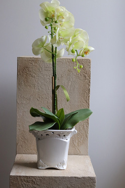 OD RĘKI Arabesca, zielony sztuczny storczyk w ażurowej donicy, wys.60cm