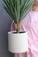 Jukka Figaro S sztuczna roślina drzewko