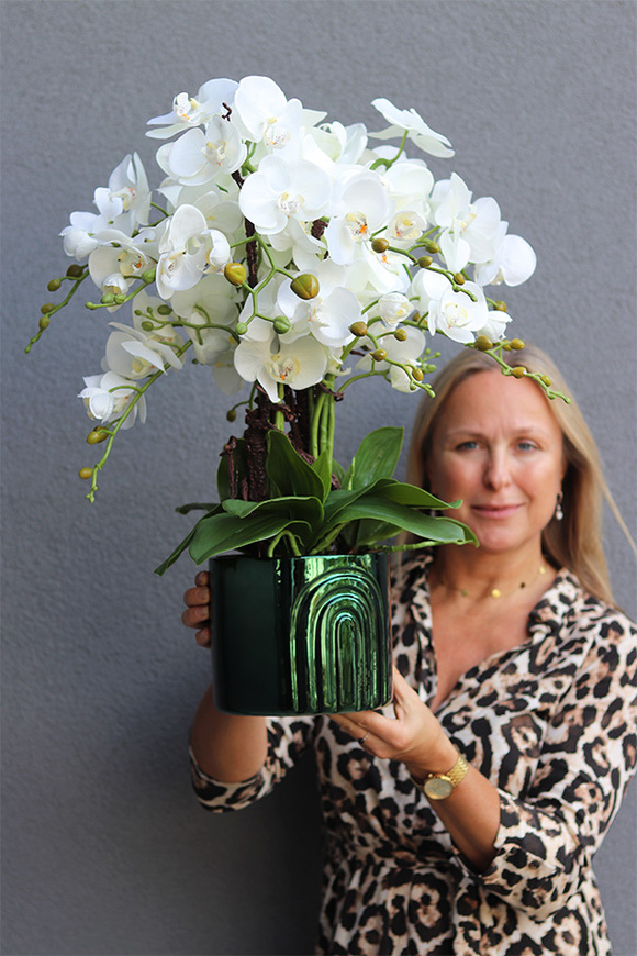 Dark Green Moment, storczyk w granatowej doniczce