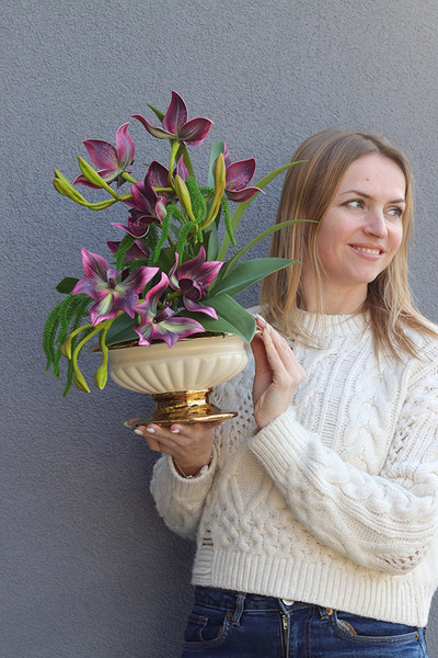 Dama Harlow, gumowy storczyk w donicy