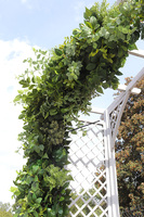 efektowna zielona girlanda, Green Garland, dł.350cm