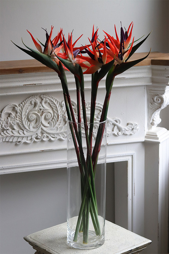 Strelicja Królewska Czerwona, kompozycja kwiatowa w wazonie