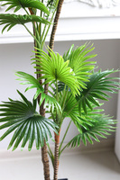 Palma Livistona Young, sztuczna roślina w doniczce