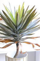 Jukka Miami Small, sztuczna roślina w donicy