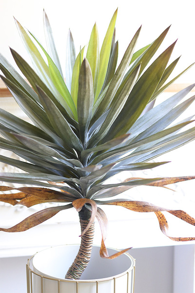 Jukka Miami Small, sztuczna roślina w donicy