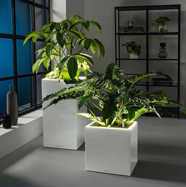 Canto Premium LED, podświetlana doniczka z nawadnianiem
