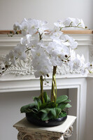 Nero Tallia, sztuczny storczyk w czarnej misie