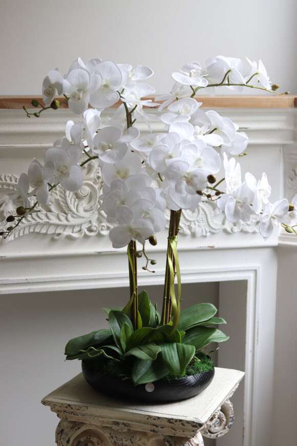 Nero Tallia, sztuczny storczyk w czarnej misie