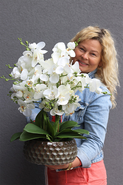 Borgio Nedila, sztuczny storczyk w brązowej osłonce