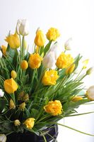 Tulipanowy Sen Spring, dekoracja nagrobna z tulipanami