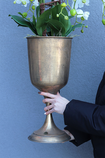 Złoty Dom, duży storczyk w pucharze