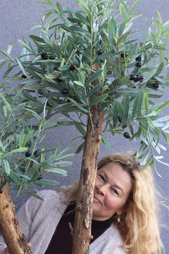 Oliwka Greece, sztuczne drzewko w ceramicznej donicy, wys.160cm