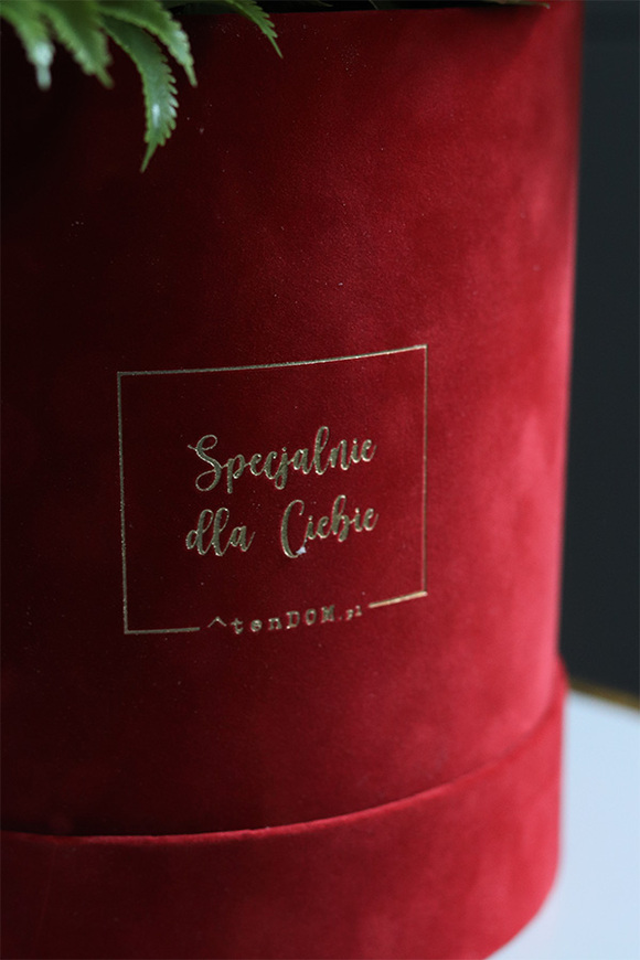 Czerwone Love, flowerbox na walentynki z proteą