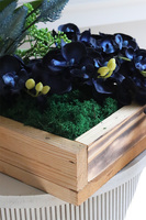 Dekoria Navy, granatowy storczyk w skrzynce