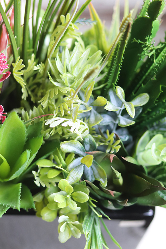 Landi, kompozycja z sukulentów w czarnej doniczce