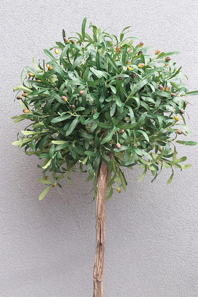 Oliwka Green Basket, sztuczne drzewko w doniczce