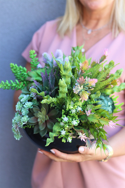Suculentia, kompozycja sukulenty w okrągłej donicy