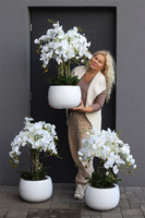 Fiberglass Grande Baloo White, sztuczny storczyk w donicy