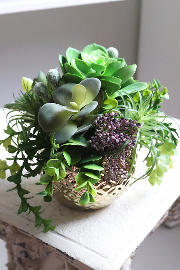 Eco Gestree, kompozycja sukulenty w złotej donicy