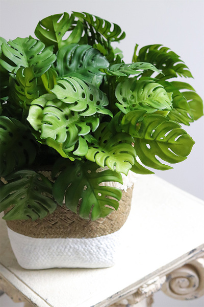 Monstera Boho Basket, drzewko sztuczne w donicy