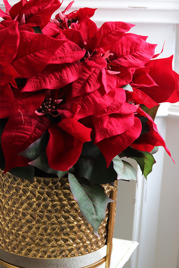 Gwiazda Betlejemska Pucharina, sztuczna roślina w donicy