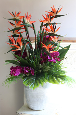 Strelicja&Orchidea Saute, kompozycja kwiatowa XXL do Twojej donicy, wys.102cm 