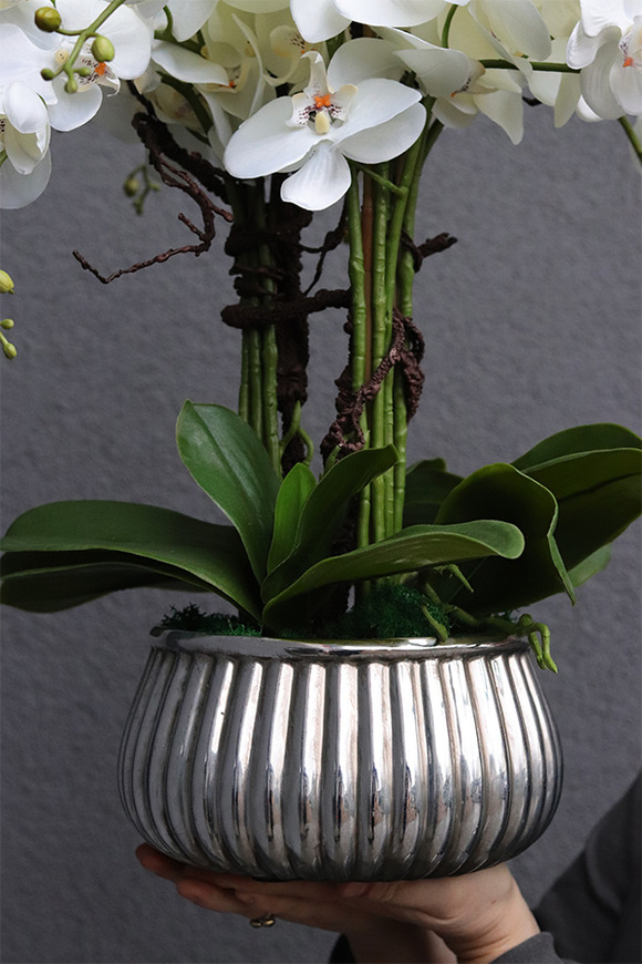 Antique Silver, sztuczny storczyk w donicy