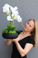 Kleneta Black, storczyk & sukulenty w czarnej misie,wys.54cm