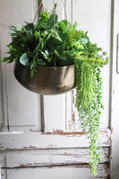 Higero Gold, zielona kompozycja wisząca, wym.42x44cm