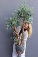 Oliwka Greece, sztuczne drzewko w ceramicznej donicy