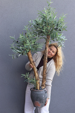 OD RĘKI Oliwka Greece, sztuczne drzewko w ceramicznej donicy, wys.160cm