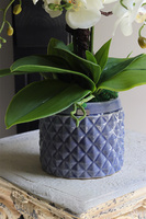 Blue Jedia, sztuczny storczyk w fioletowej donicy