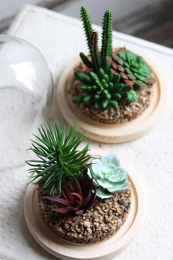 Glasso 2 Sukulenty, ogród w szkle, wym.16x14cm