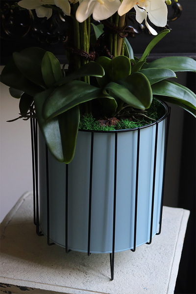 Padwa Blue, sztuczny storczyk w niebieskiej donicy na stojaku