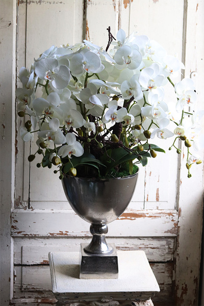 elegancki storczyk w pucharze, Pucharro, wys.86cm 