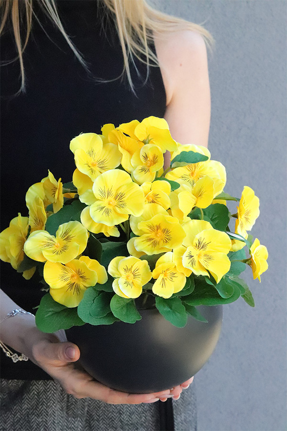 Bratki Yellow, żółte bratki w naczyniu