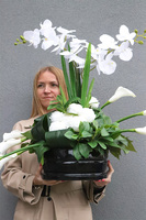 Lissandra, kompozycja nagrobna w misie