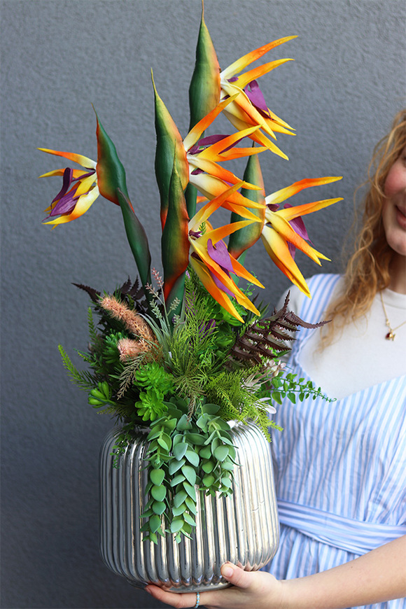 Strelicja Premium Hilton, kompozycja w srebrnej donicy