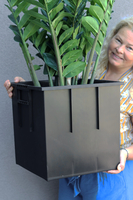 Zamiokulkas Saute Lechuza, sztuczna roślina do twojej donicy	