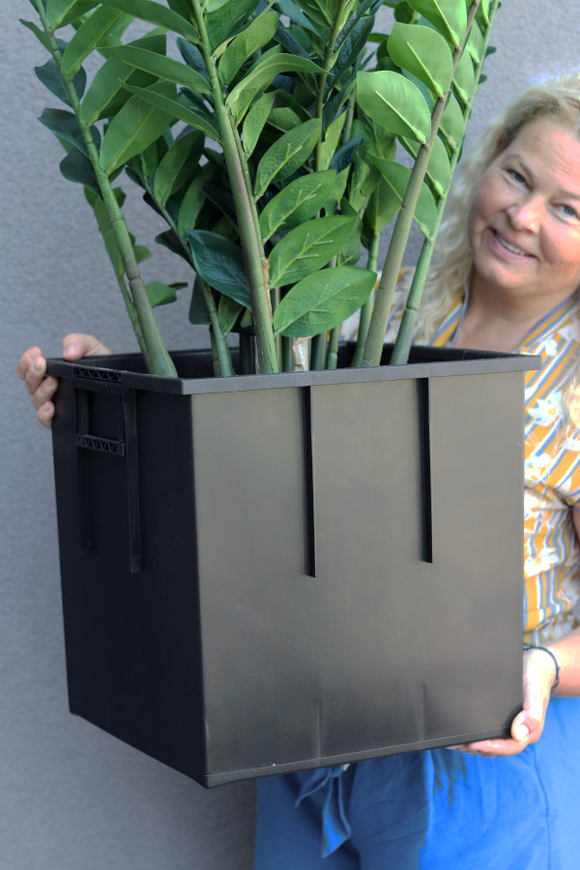 Zamiokulkas Saute Lechuza, sztuczna roślina do twojej donicy	