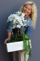 Banerra Carreta, sztuczny storczyk z sukulentami