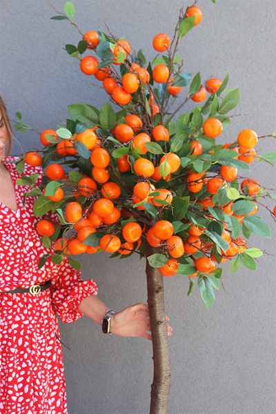 Mandarynka Basket, sztuczne drzewko owocowe w koszu