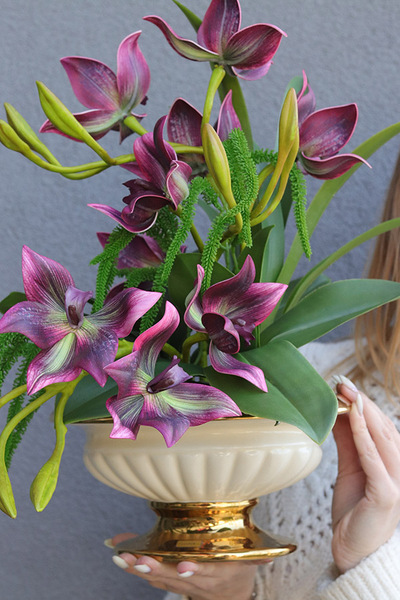 Dama Harlow, gumowy storczyk w donicy