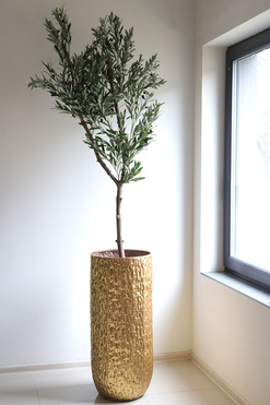 Oliwka Goldi Max, sztuczne drzewko w metalowej donicy, wym.230cm